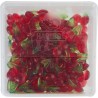 Happy Cherry - Haribo - boîte 105 pièces